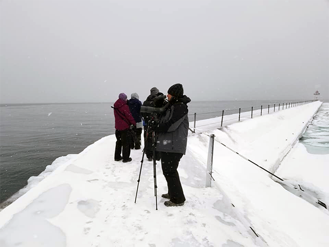 Winter Birding along Lake Superior Photo by Vicki Burke